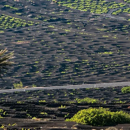 Home2book Cozy Puerto del Carmen (Lanzarote)